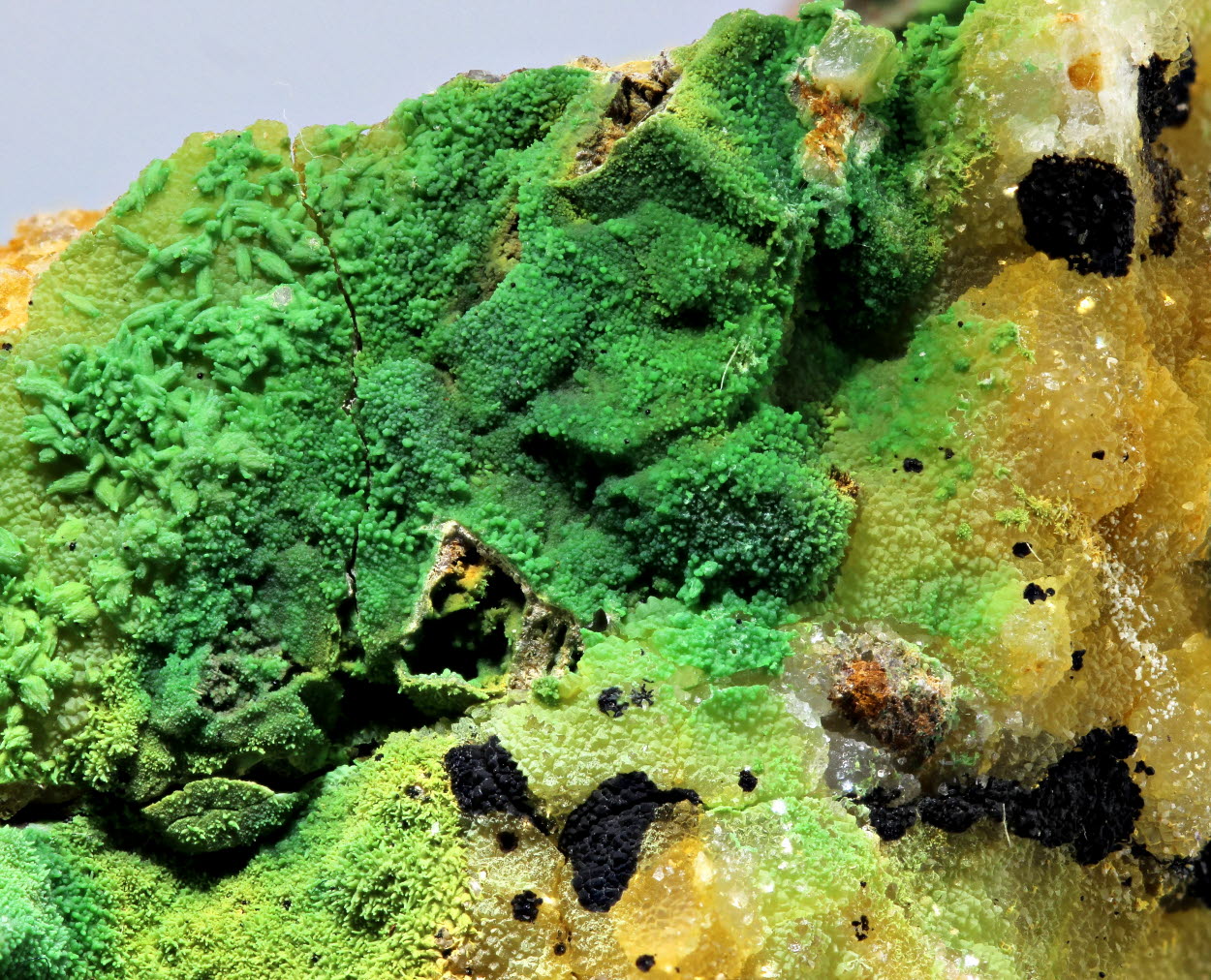 Bayldonite & Pyromorphite