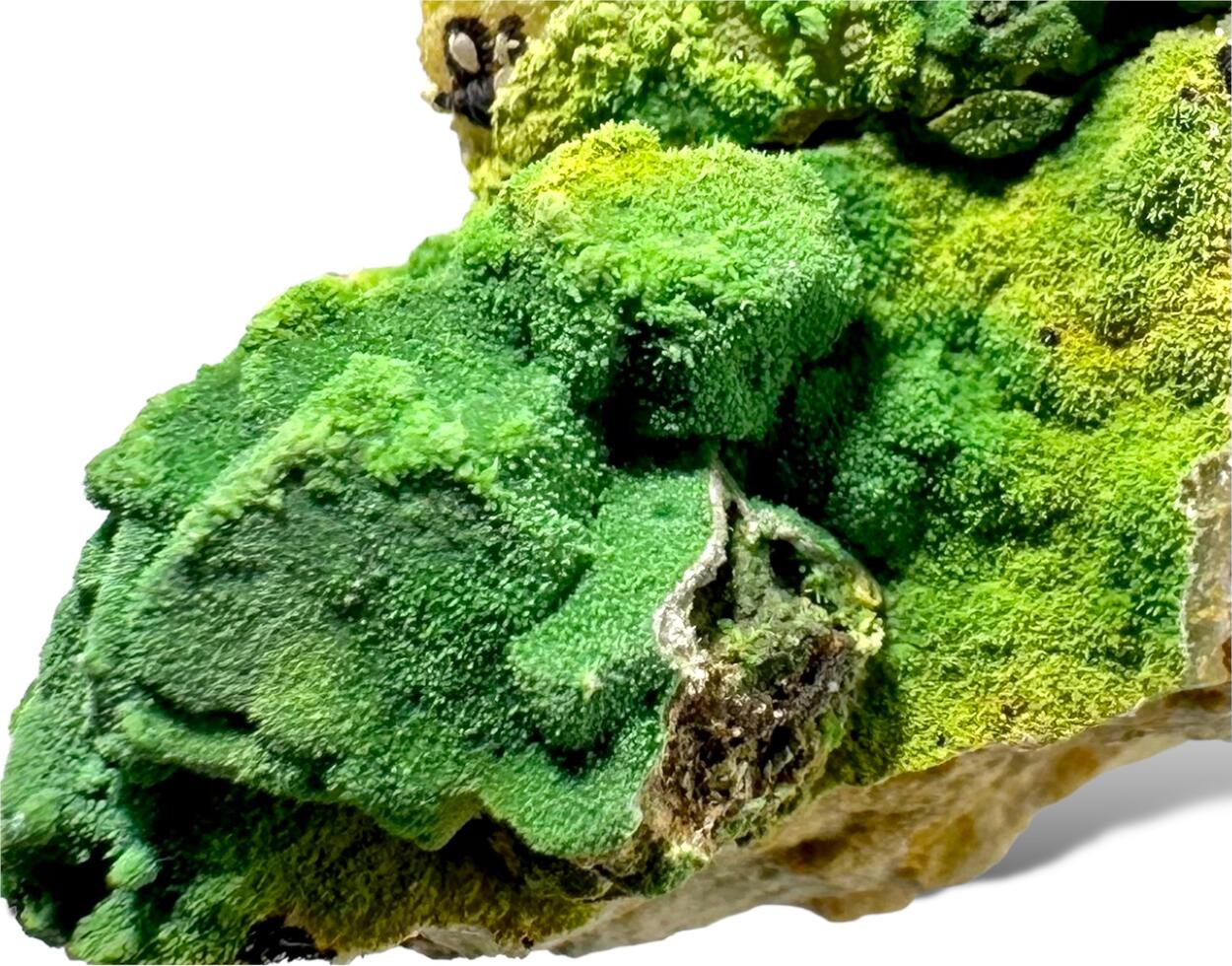 Bayldonite & Pyromorphite