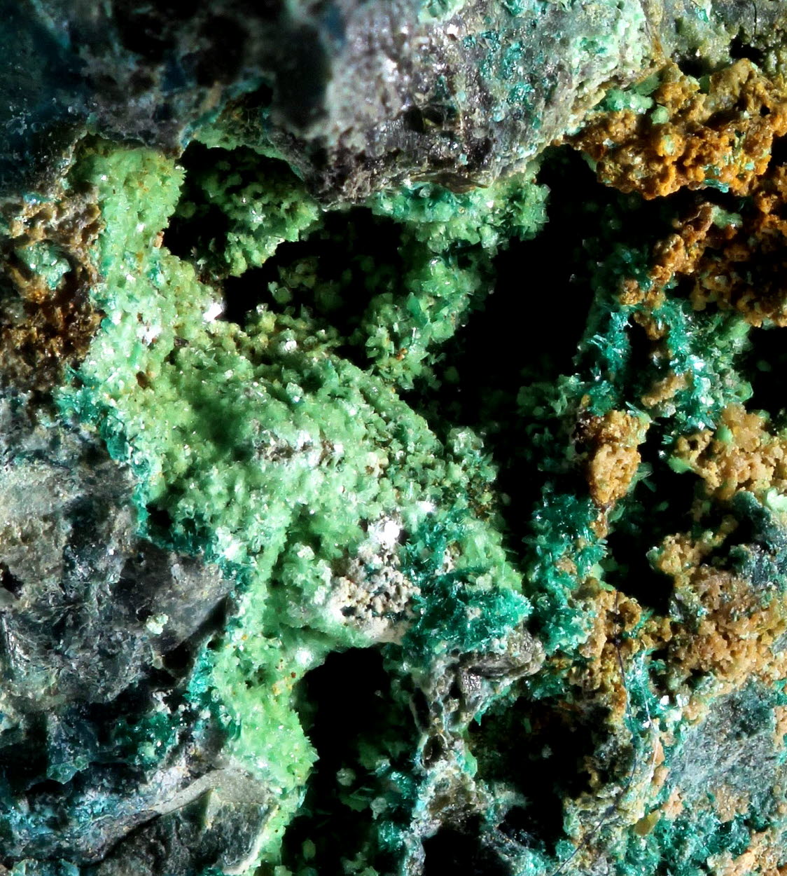 Chrysocolla With Metazeunerite & Malachite