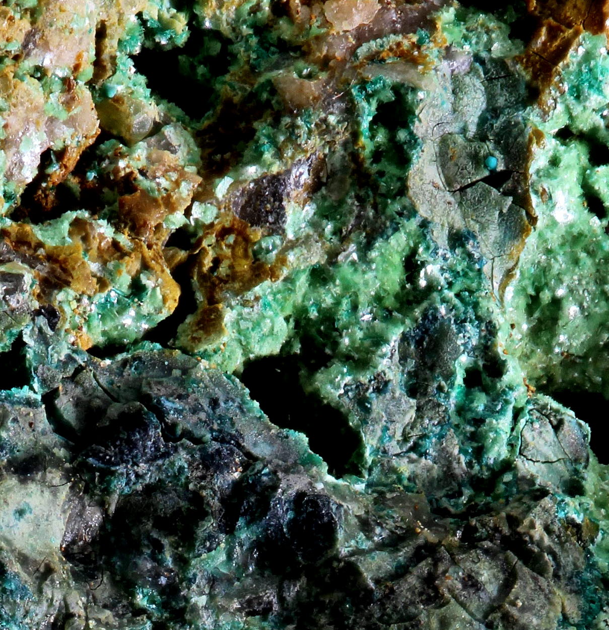 Chrysocolla With Metazeunerite & Malachite