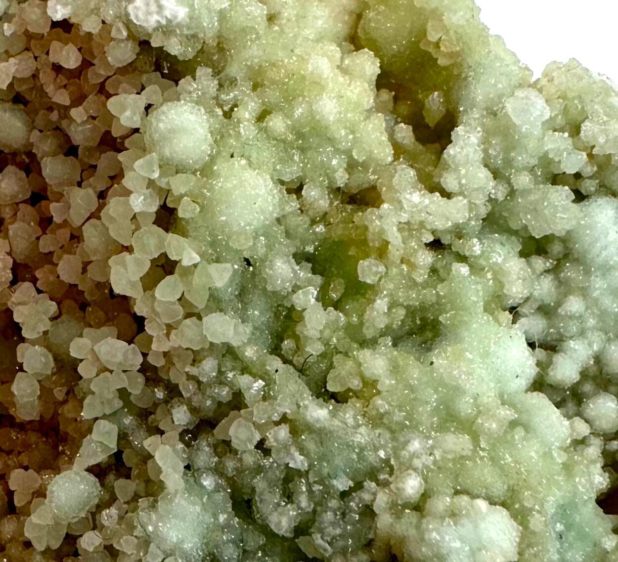 Boracite