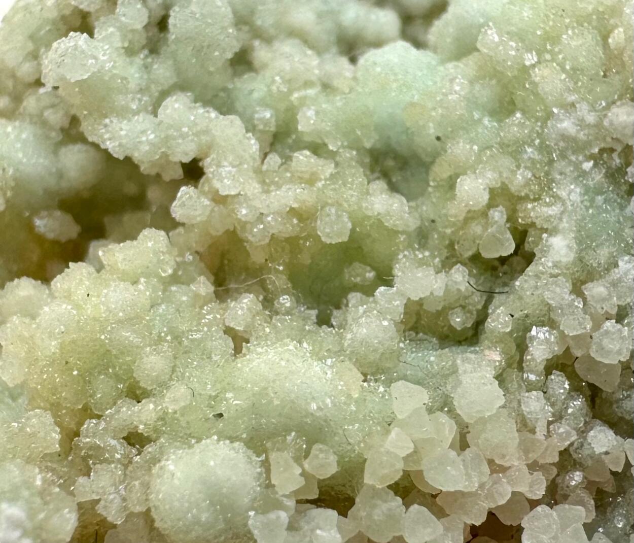 Boracite