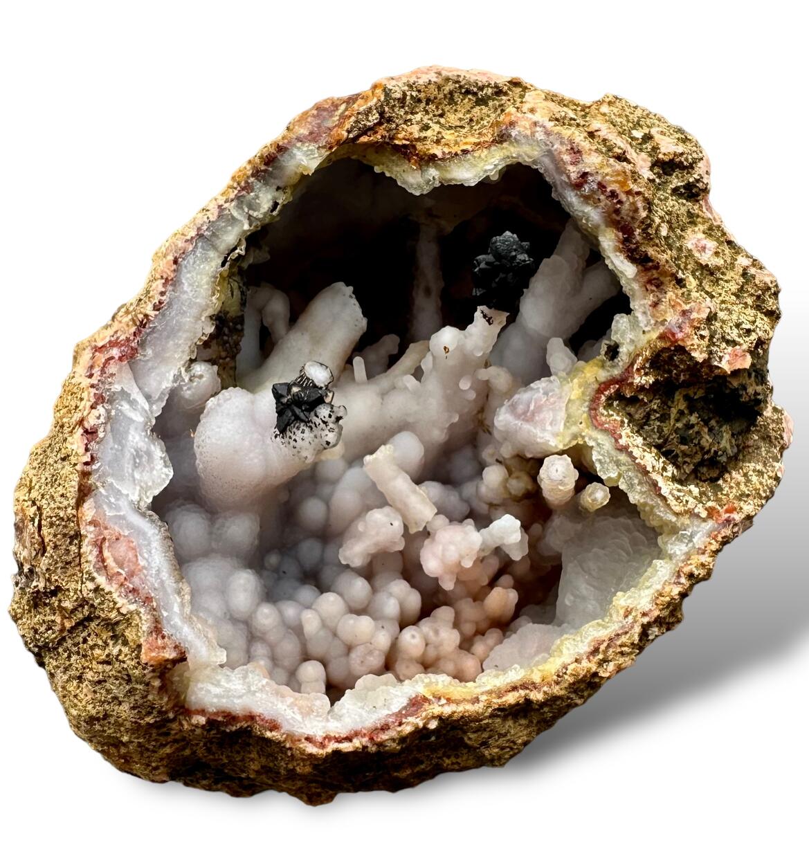 Chalcedony With Goethite Psm Marcasite