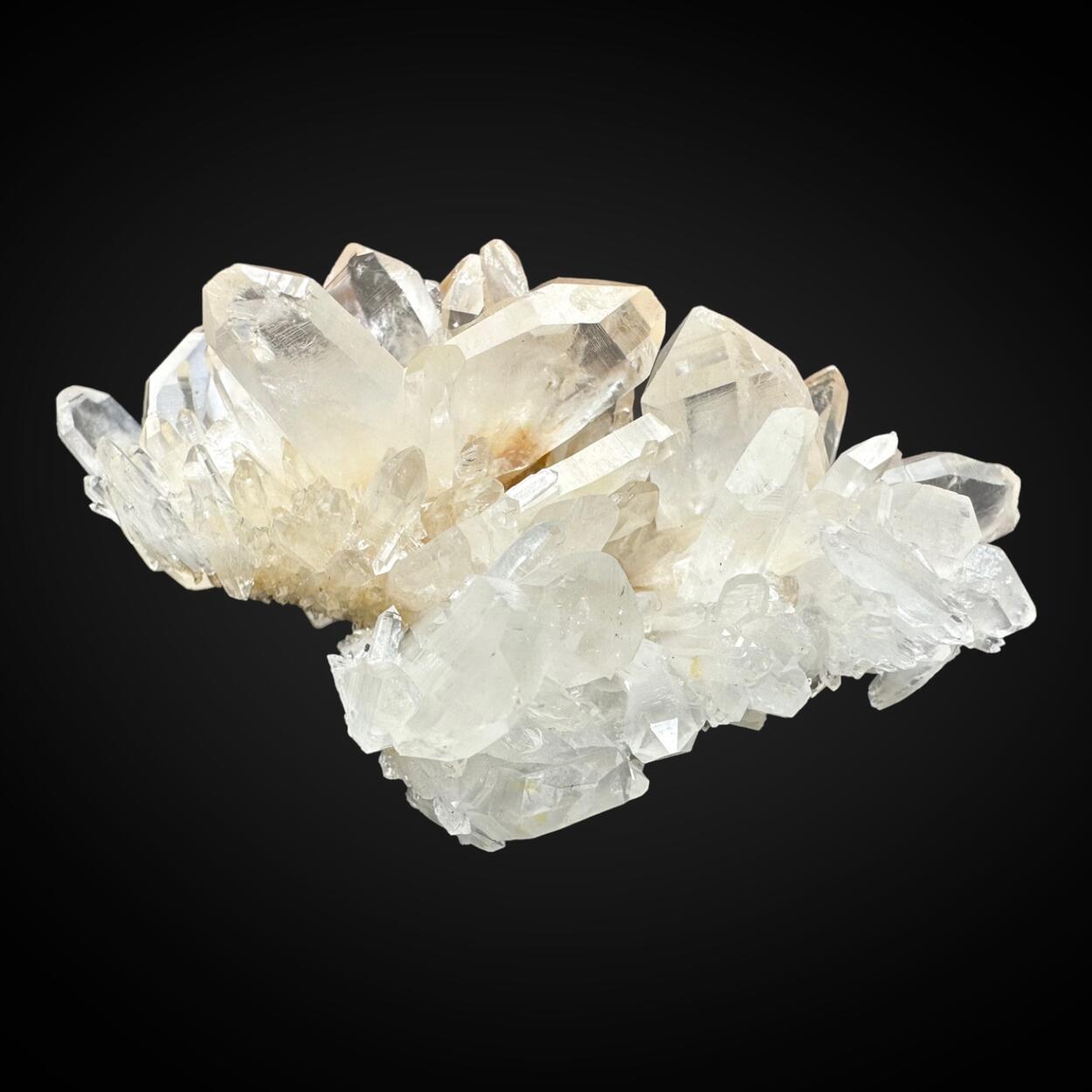 Japan Law Quartz
