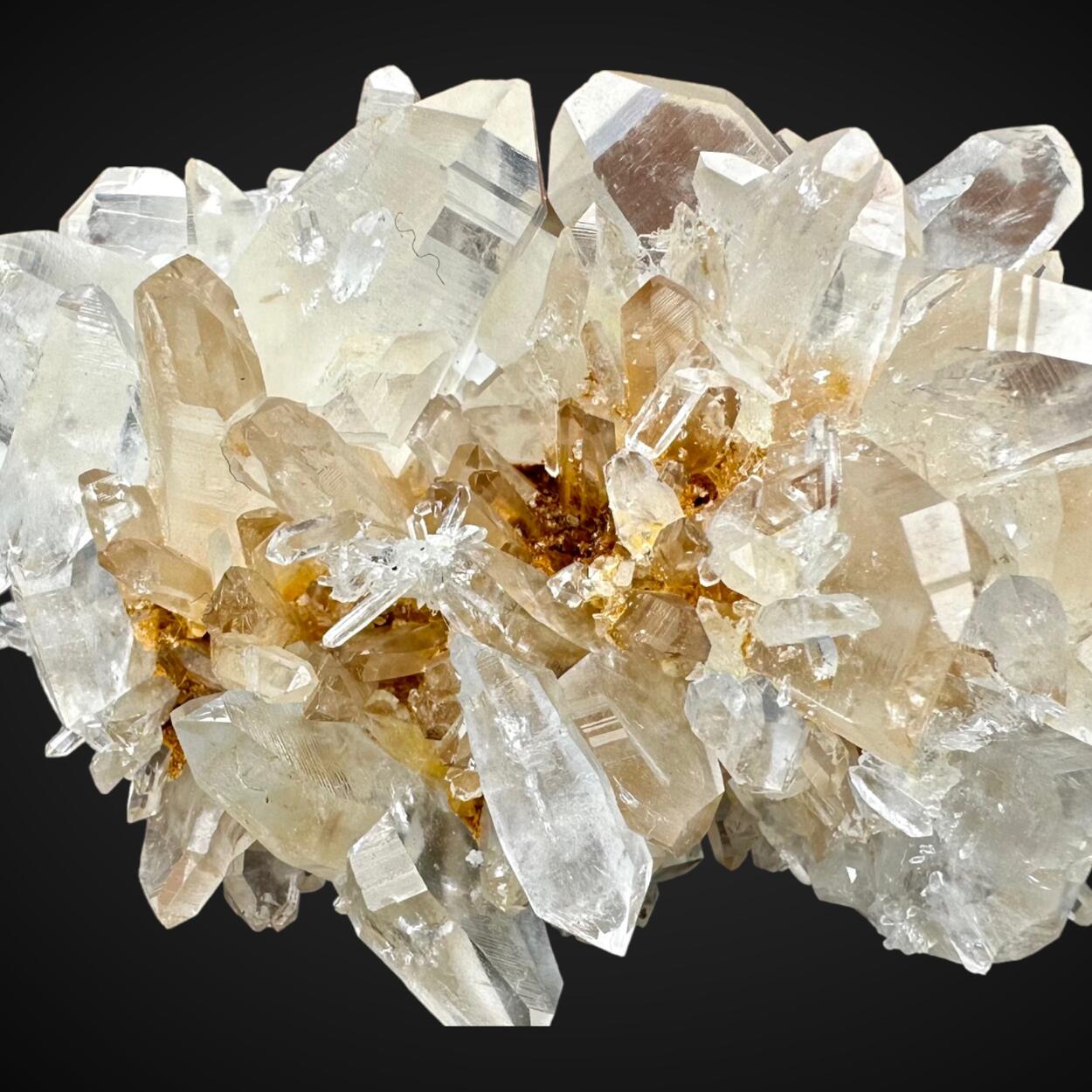 Japan Law Quartz