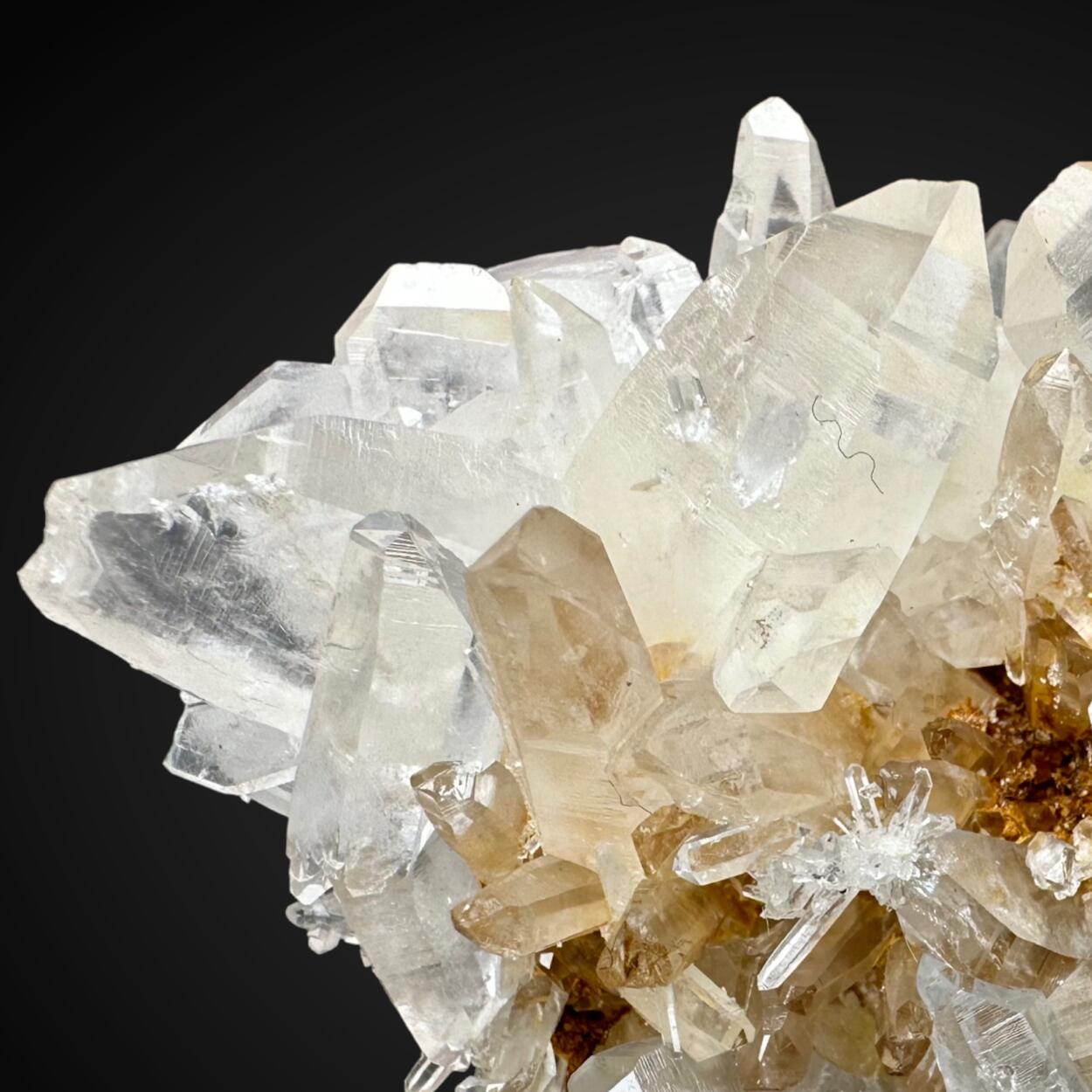 Japan Law Quartz