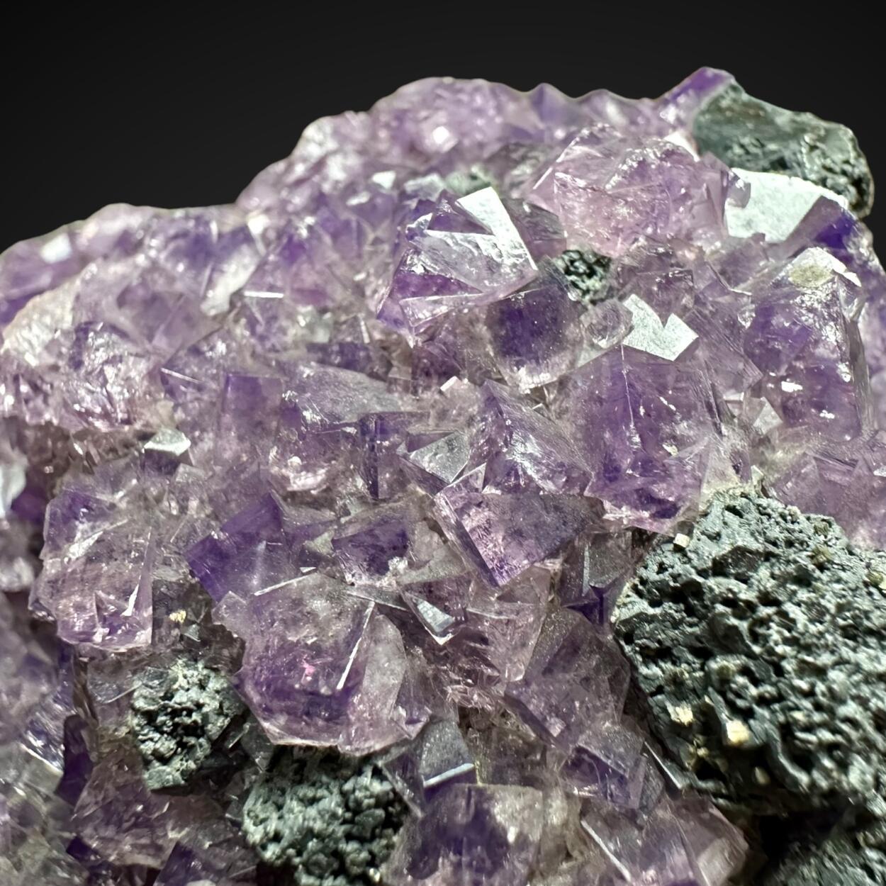 Fluorite & Galena