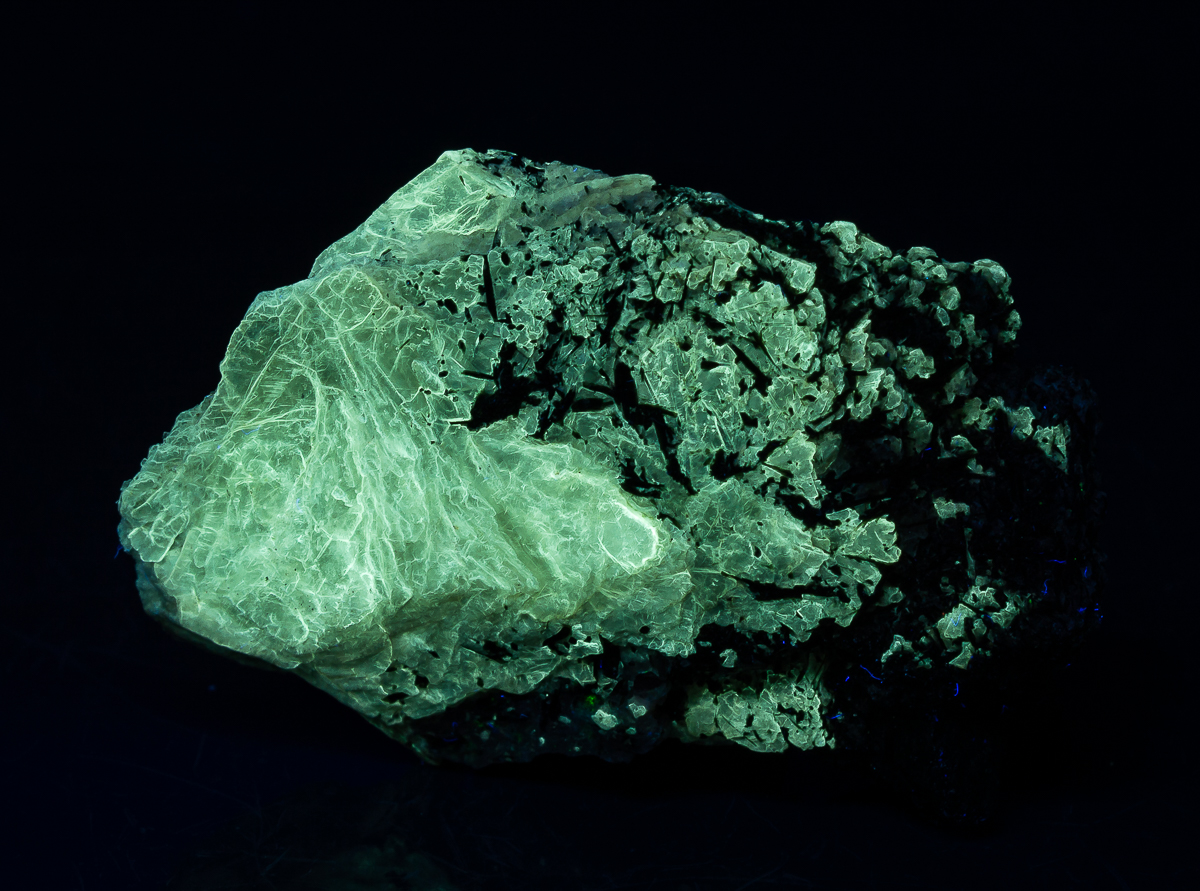 Polylithionite