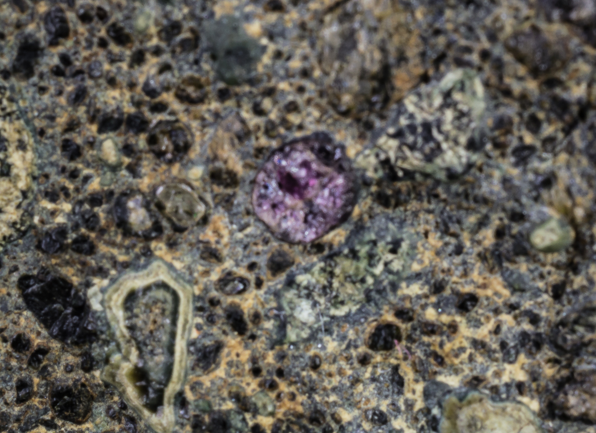 Kimberlite Pyrope Garnet & Olivine