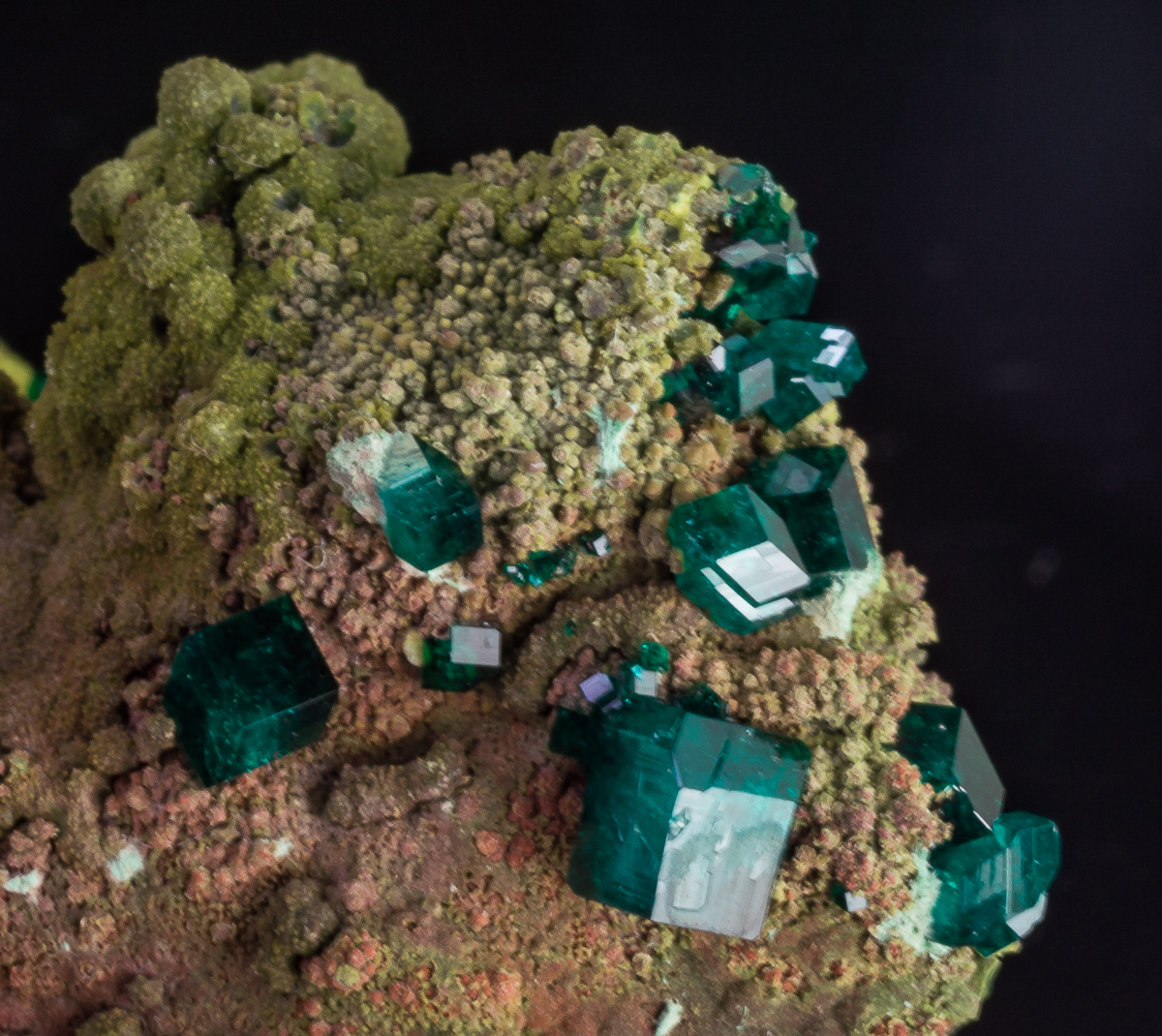 Dioptase & Conichalcite