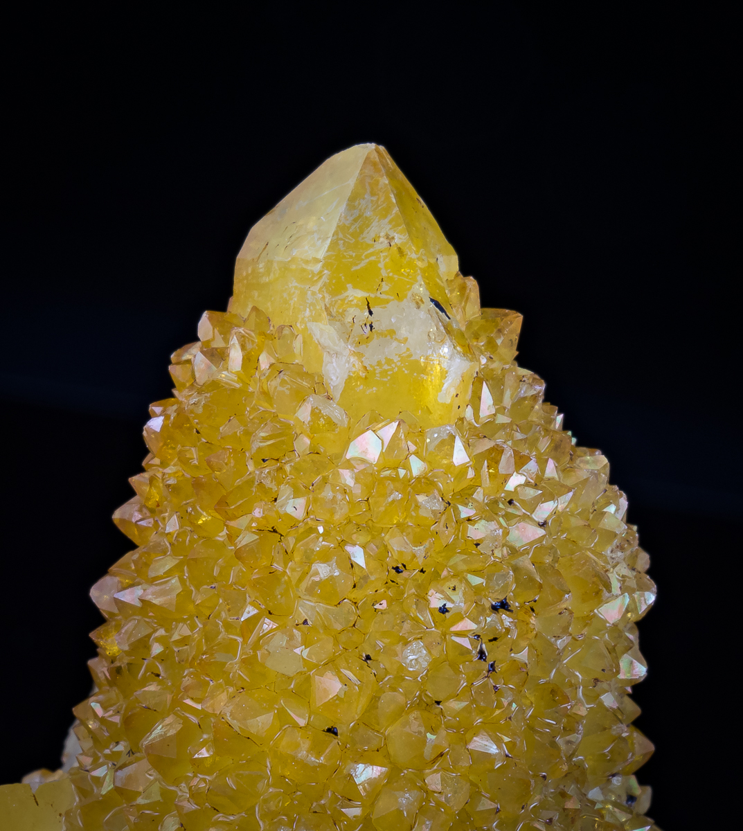 Cactus Quartz