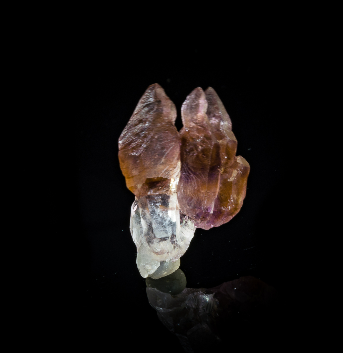 Sceptre Quartz