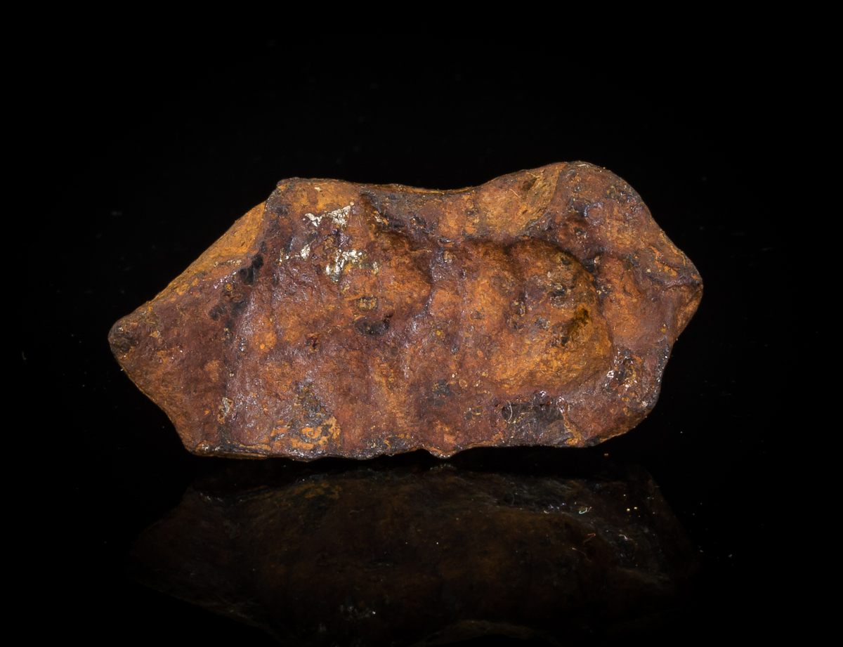Iron Meteorite & Schreibersite