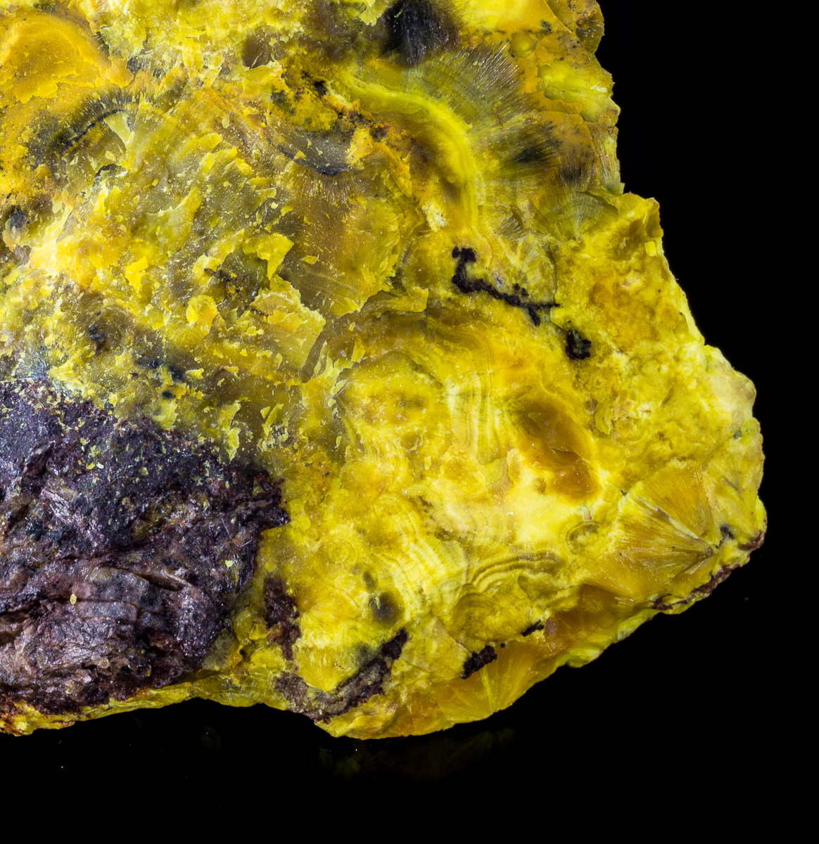 Autunite