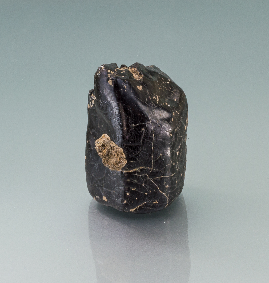 Hornblende