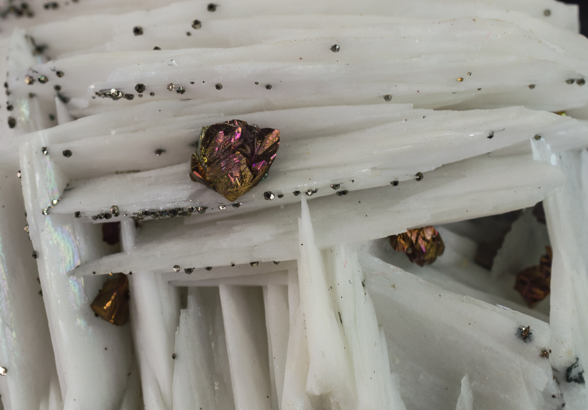 Baryte Chalcopyrite & Pyrite