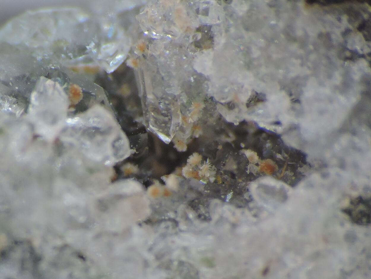 Kinoite
