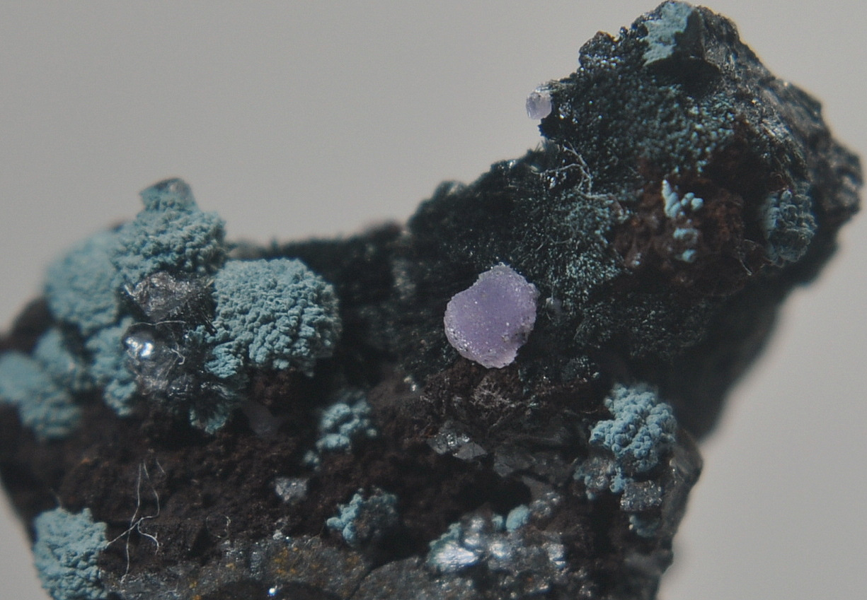 Strengite & Kidwellite