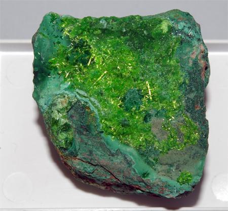 Cuprosklodowskite & Torbernite