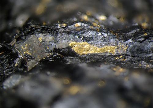 Gold In Uraninite
