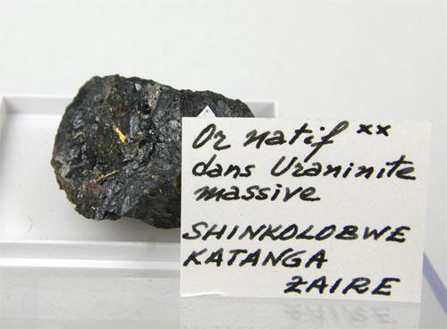 Gold In Uraninite