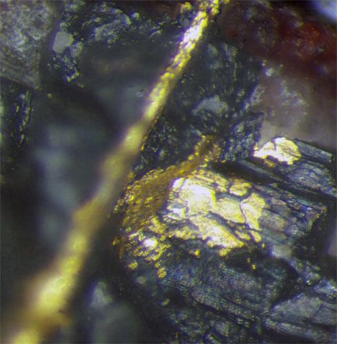 Gold In Uraninite