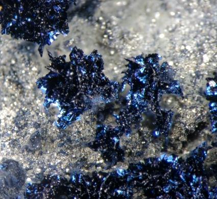 Covellite