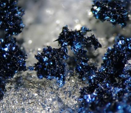 Covellite
