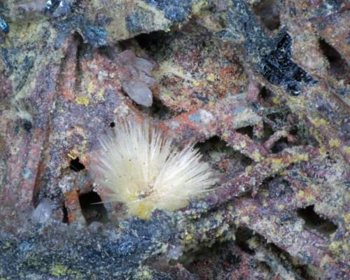 Klebelsbergite Stibnite Kermesite & Valentinite