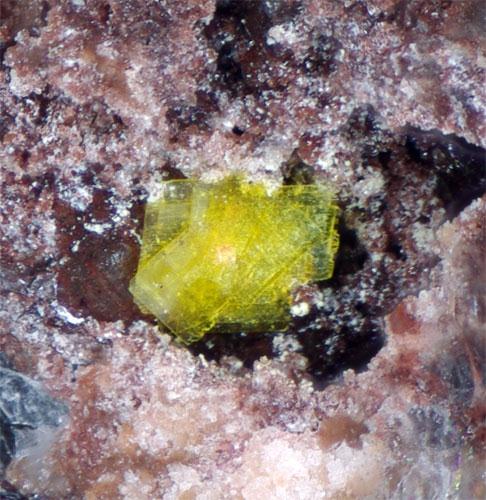 Ianthinite Schoepite & Metauranocircite-I