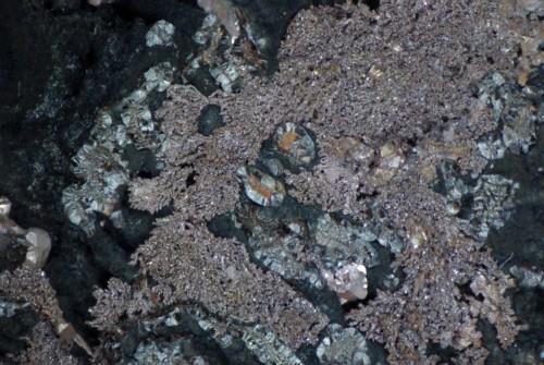 Native Copper & Goethite