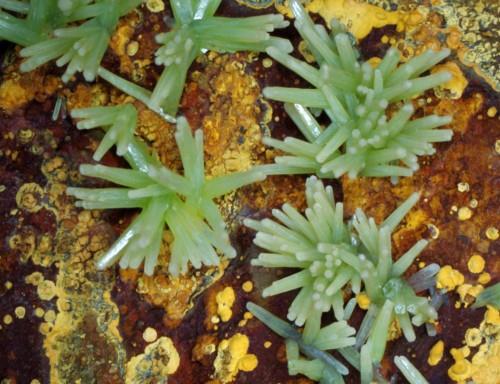 Pyromorphite