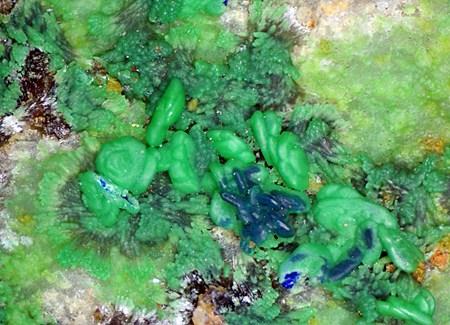 Conichalcite Psm Azurite & Olivenite