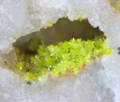 Rodalquilarite Gold & Jarosite