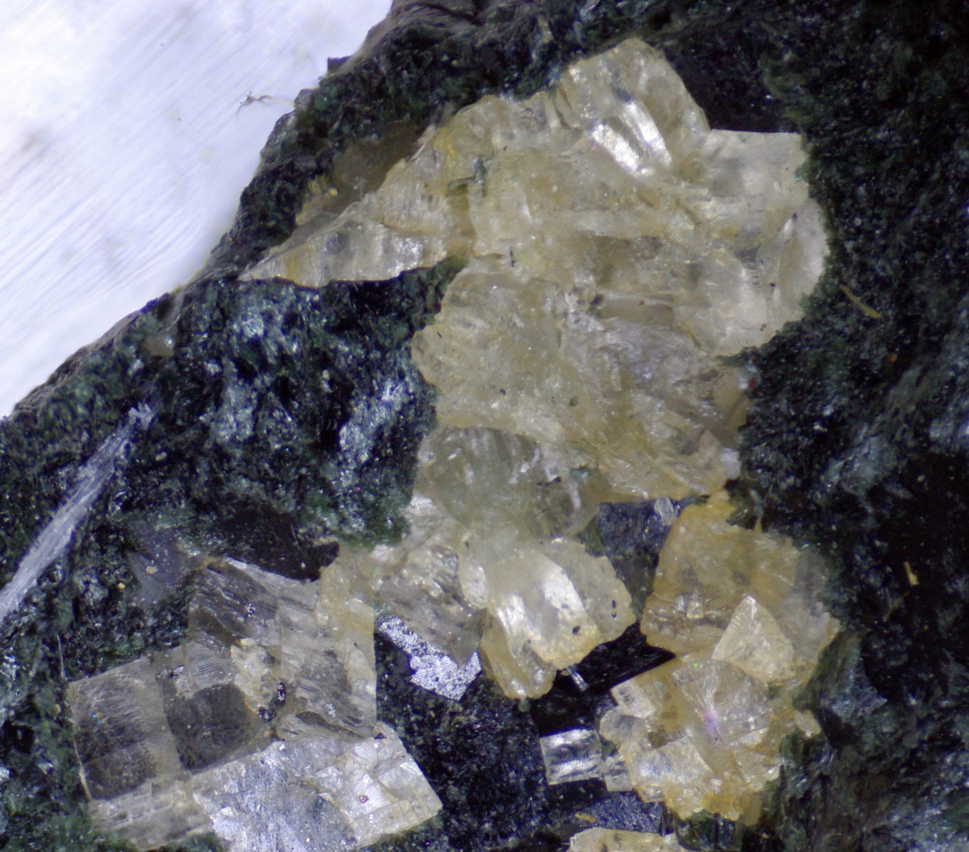 Talc Psm Tremolite