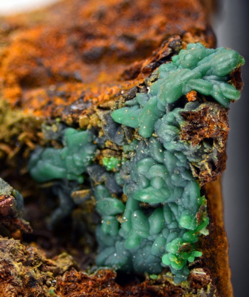 Conichalcite Psm Azurite & Olivenite