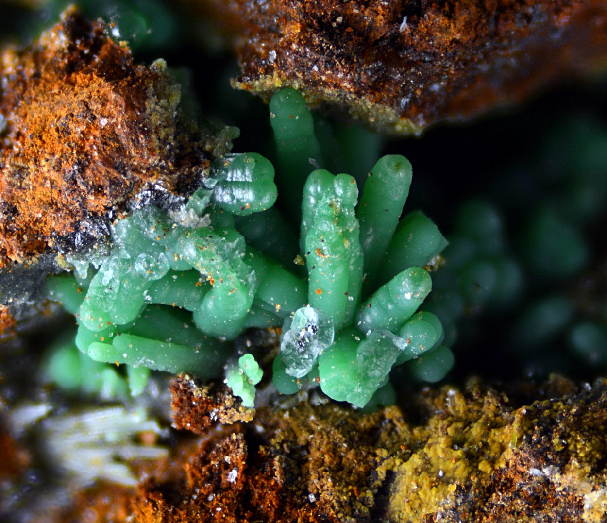 Conichalcite Psm Azurite & Olivenite