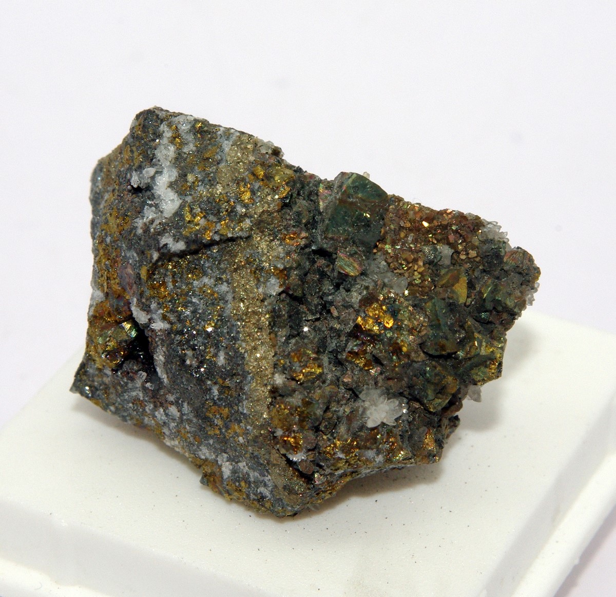 Freibergite Chalcopyrite Pyrite