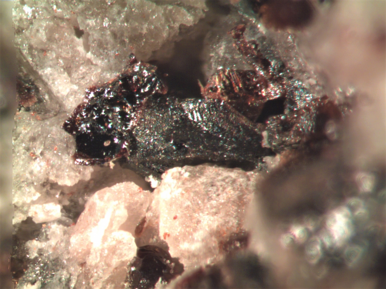 Melanotekite & Cymrite