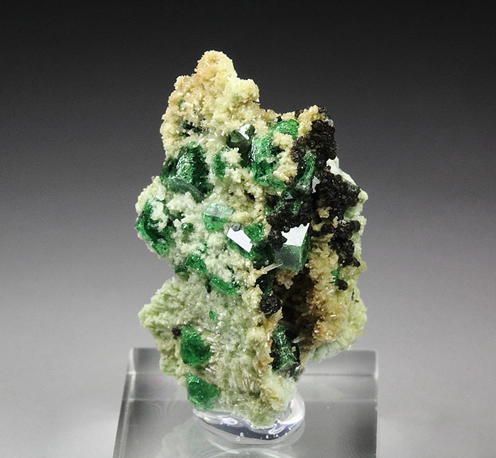 Grossular With Diopside & Clinochlore