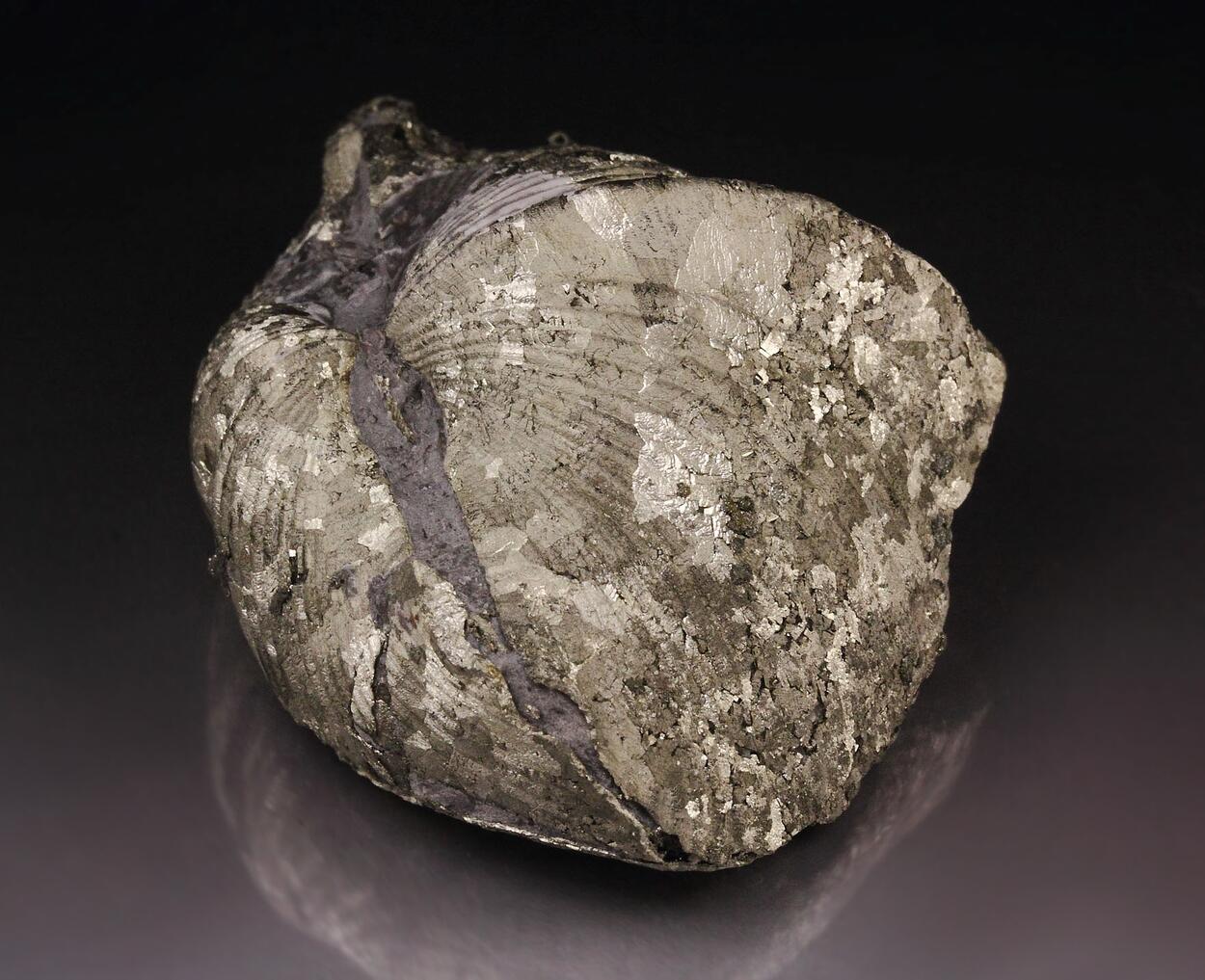 Pyrite Psm Shell