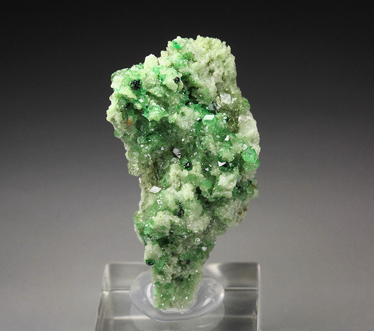Chrome-Bearing Grossular With Chromite & Diopside