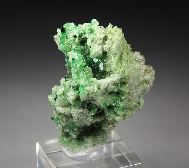Chrome-Bearing Grossular With Chromite & Diopside