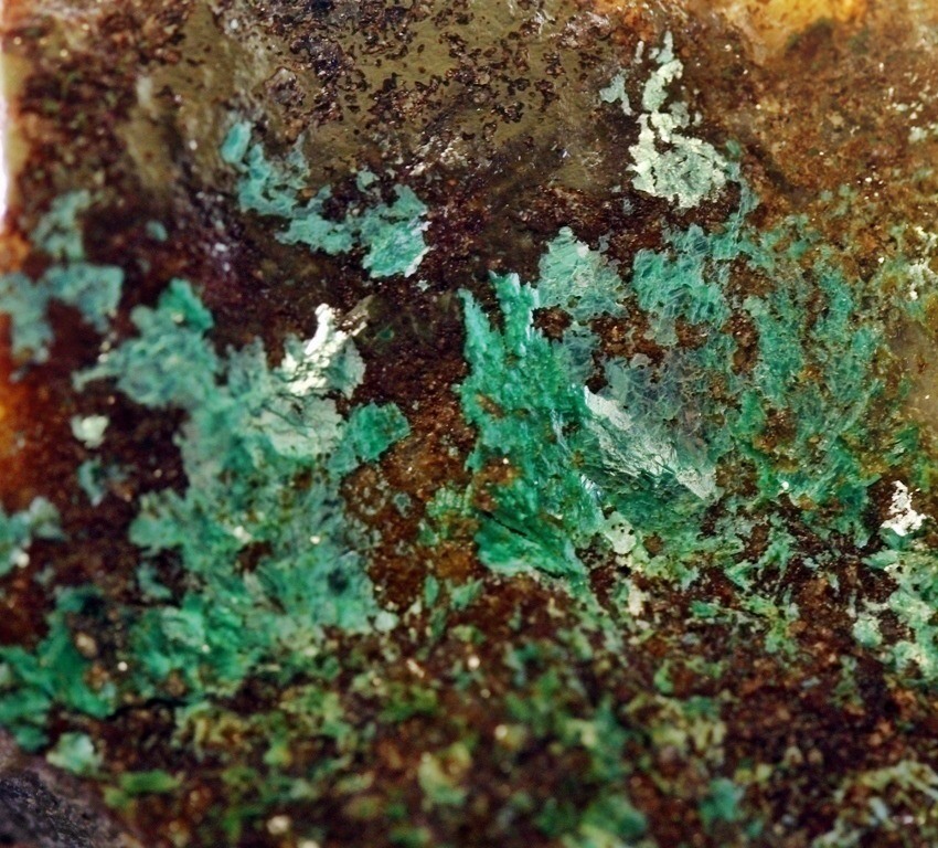 Chalcophyllite