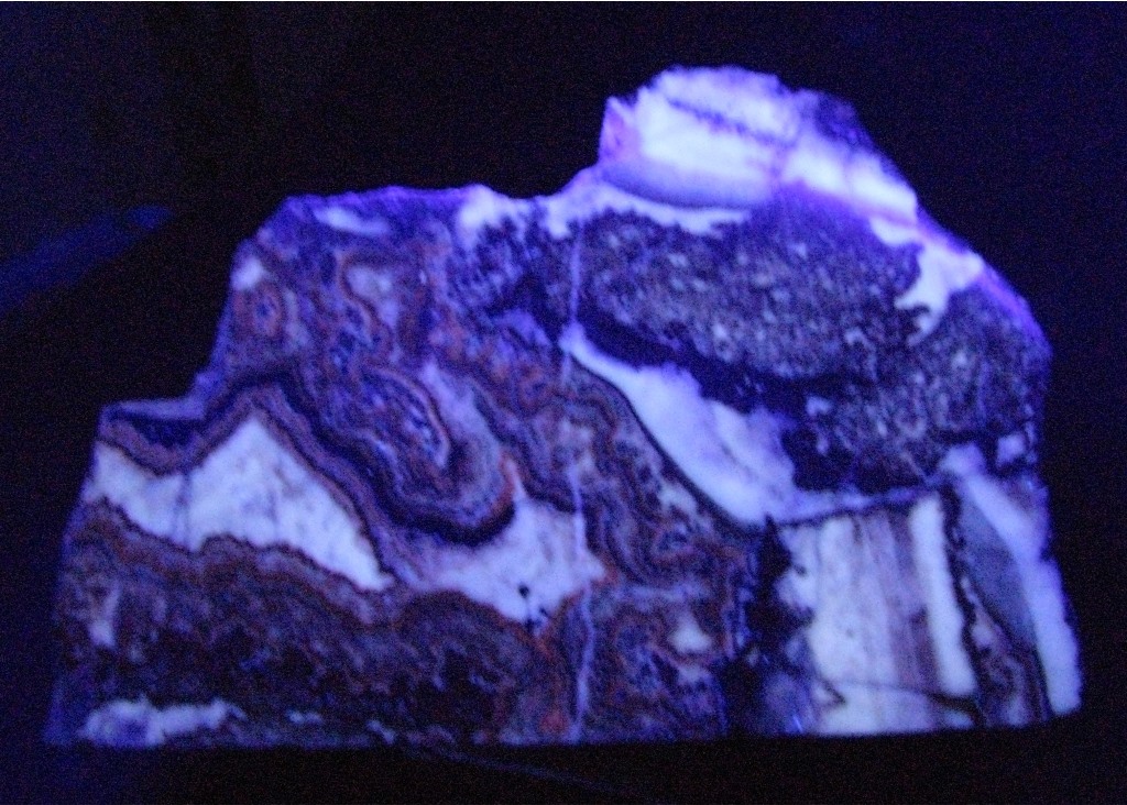 Schalenblende