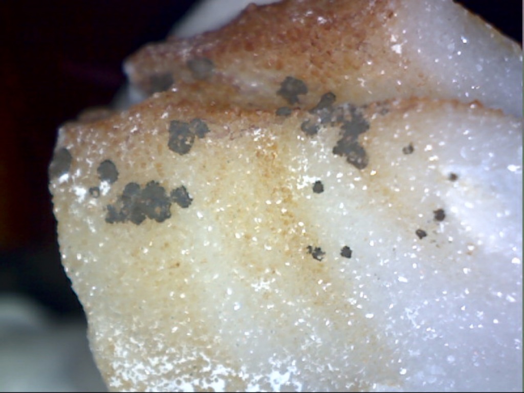 Lithiophorite