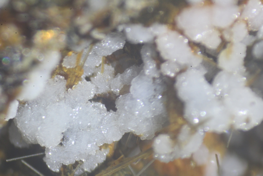 Phillipsite Chabazite & Fluorapatite