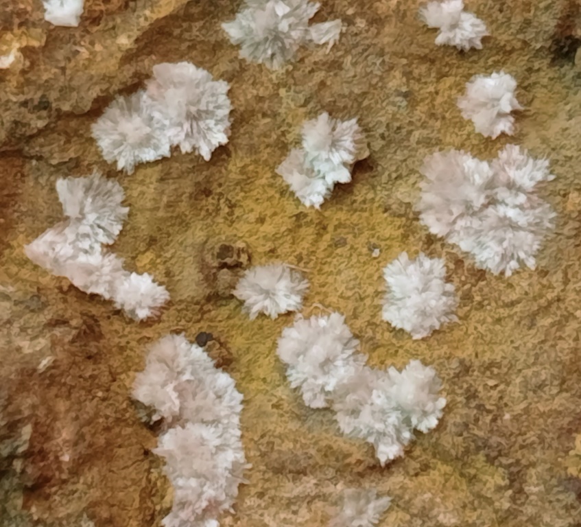 Wavellite