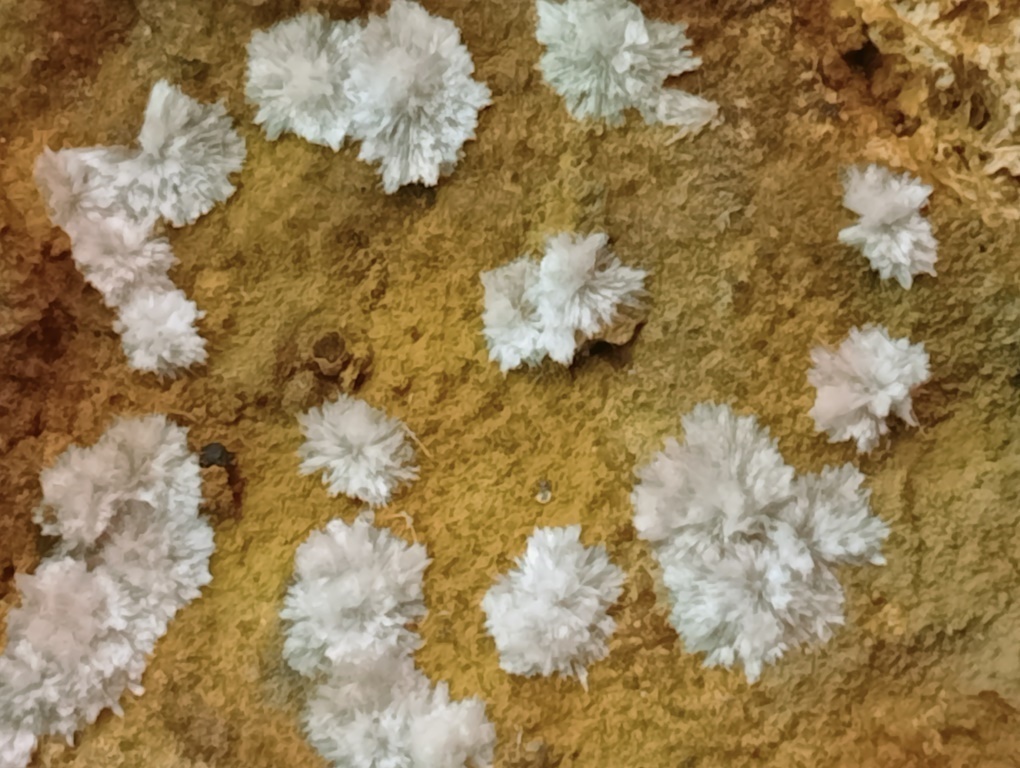 Wavellite