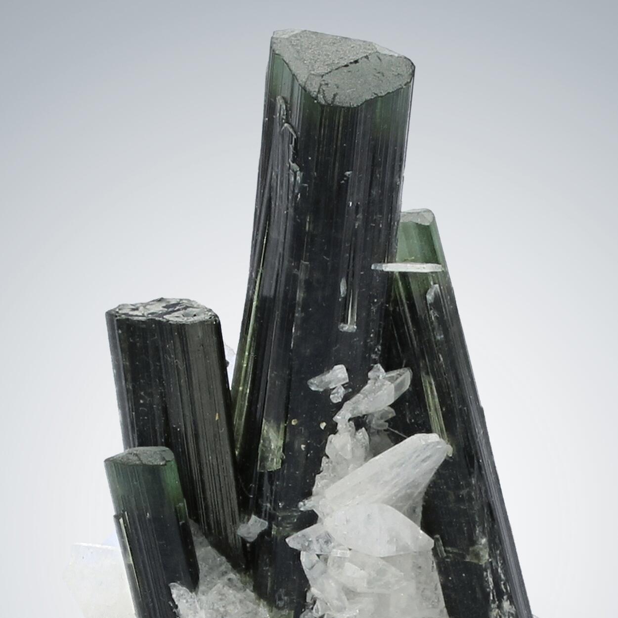 Tourmaline With Albite